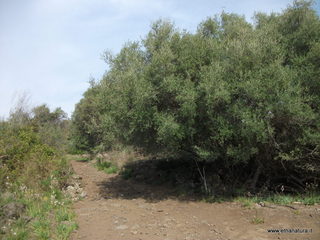 zzena-07-04-2013 09-00-34
